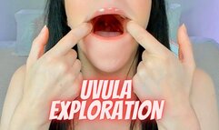 Uvula Exploration Fetish (MP4 480)