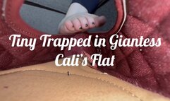 Giantess Cali finds a tiny in her Flat