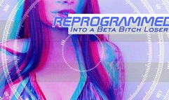 Reprogrammed Into A Beta Bitch Loser