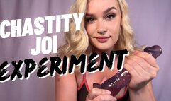 The Rubber Dick Illusion Experiment - Chastity JOI