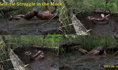 Self Tie Struggle in the Muck, 2023-06-14