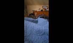 Morning Bed Farts Compilation