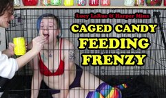 Caged Candy Feeding Frenzy