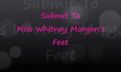 Submit To Miss Whitney Morgan's Feet - mp4