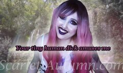 Your small dick amuses the Fairy Queen - MP4 SD 480p