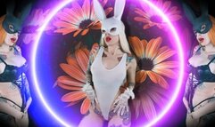 Aromatic spring Bunny Jerk off - JOI , AROMA