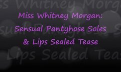 Whitney Morgan: Sensual Pantyhose Soles & Lips Sealed Tease - mp4