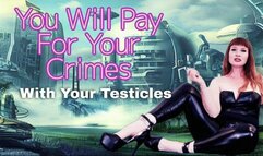 You Will Pay For Your Crimes WMV 480