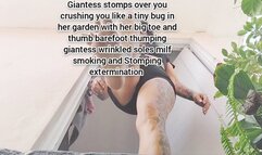 Giantess stomps over you crushing you like a tiny bug in her garden with her big toe and thumb barefoot thumping giantess wrinkled soles milf smoking and Stomping extermination