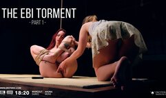 The ebi torment Part 1 (4K): shibari sex