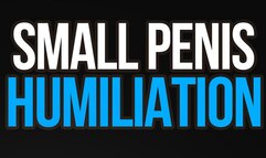 Small Penis Humiliation for Tiny Dick Losers