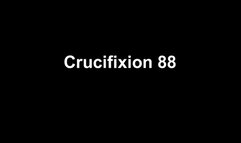 Crucifixion 88