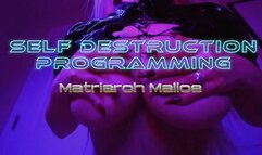 Self Destruction Programming