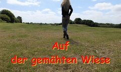 Grey Cameltoe Leggings on the Meadow - Graue Cameltoe-Leggings auf der Wiese