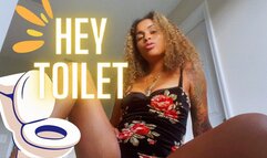 Hey Toilet Vol1