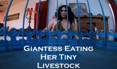 Giantess Eating Her Tiny Livestock SD