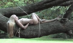 bondage tree with Tiny Lolicoon - wmv 1080p