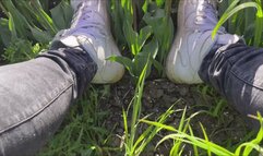 Well worn Nike AirForce 1 (AF1) destroy flowers, walk, crush and stomp in tulip field