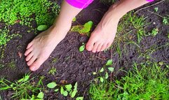 Barefoot Muddy Feet Worship