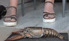 Italian girlfriend - cooked lobsters crush fetish