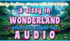 A Sissy in Wonderland, Chapter Two