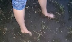 Dirty stuck feet WMV(1280*720)HD