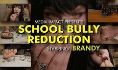 School Bully Reduction