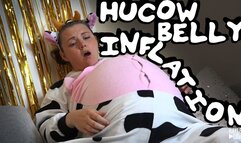 Hucow Belly Inflation