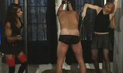 Sorority Bitches From Hell (WMV)