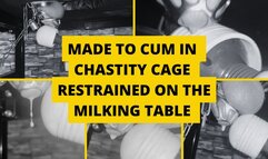 Made to cum in chastity cage restrained on the milking table