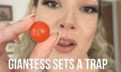 Giantess Sets A Tiny Trap