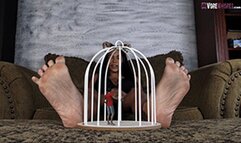 Beverly in 'Caged Consiquences' 4K UHD Giantess Vore