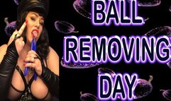 BALL REMOVING DAY