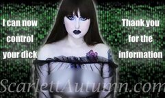 AI will rule the world one orgasm at a time - WMV SD 480p