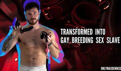 Transformed into gay breeding sex slave