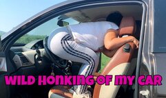 Wild honking of my car