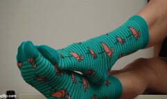 My irresistible socks exhibition