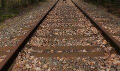 On the tracks (2018) (MP4)