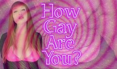 How Gay Are You? SD WMV