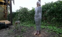 The Spain Files - Pole Mummification for sexy Stardust - Full Clip wmv SD
