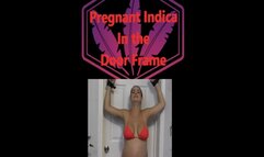 Pregnant Indica Stuck in the Door Frame MP4