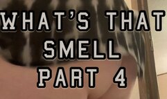 What’s that Smell - Part 4 - 50 Farts BBW Farting