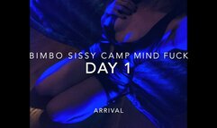 Bimbo Sissy Slut Camp Mind Fuck- Day 1