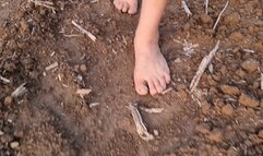 Barefoot Mud Walking HD 31st Aug