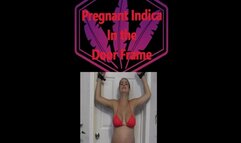 Pregnant Indica Stuck in the Door Frame WMV