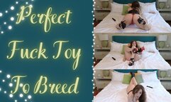 Perfect Fuck Toy To Breed (480WMV)