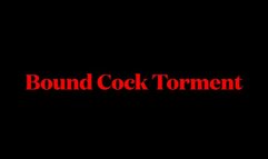 Cock Bondage Torment