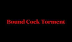 Cock Bondage Torment- wmv