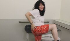 2 PUBLIC BATHROOM CLIPS ON ONE