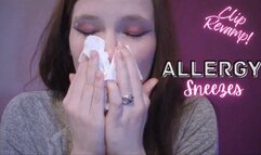 Allergy Sneezes